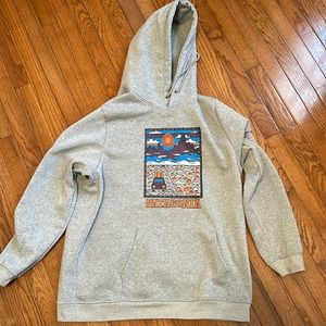 Patagonia Summit Road Gray Hoodie Mens XXL